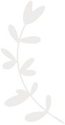grace-cressida-header-icon4